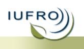 IUFRO logo. Image Credit: www.iufro.org