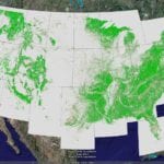 Figure showing Forest Pattern Analysis of the United States. Image Credit: K. Riitters, U.S. Forest Service; Peter Vogt.