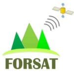 Figure 1: FORSAT logo