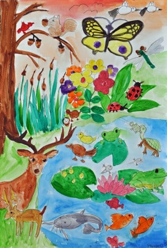 The 2012 First Place Winner: "Wetlands: A Heaven of Wildlife" by Phoebe Chiu, Grade 3, Ohio.