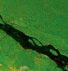 Satellite imagery of a forest with inundation. Credit: NASA