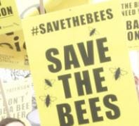 Photograph from a save the bees protest. Credit: BBC