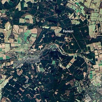 Satellite imagery of Thetford Forest. Credit: NASA