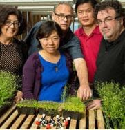 Photo of Joanne Chory, Yongxia Guo, Joseph Noel, Zuyu Zheng and James J. La Clair (Credit: Courtesy of the Salk Institute for Biological Studies)