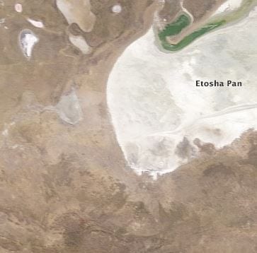 image of etosha national park. credit: NASA earth observatory