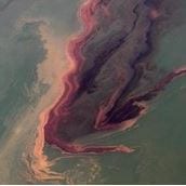 Photography of the Deepwater Horizon oil spill. Credit: Associated Press