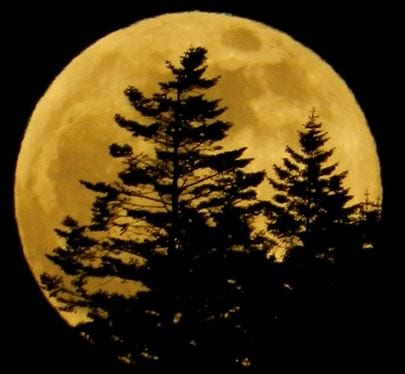 Rising supermoon on May 24, 2013 as seen in Elk, California by our friend Mendocinosportplus.