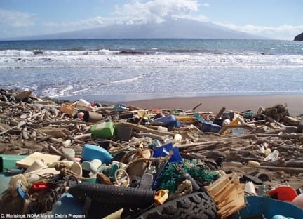 Marine debris washed up on shore. Credit: NOAA.