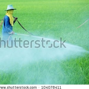 Pesticide risks need more research and regulation