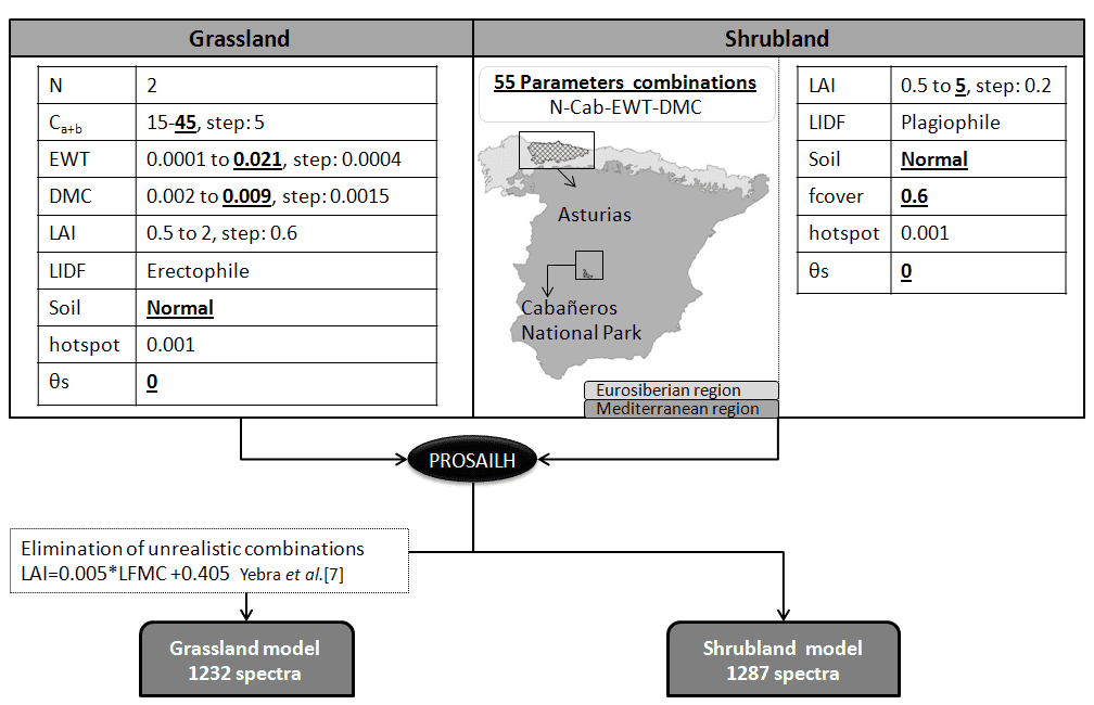 Figure 3. Scheme followed to achieve the Eurosiberian models. Bold and underlined are the changes included in the re-parameterization of the models for the Eurosiberian region. 