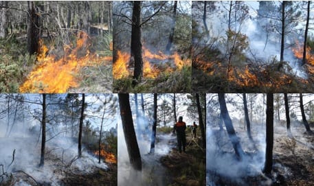 A forest fire in Mirandela, 2009. Image Credit: SÌ_nia GonÌ¤alves.