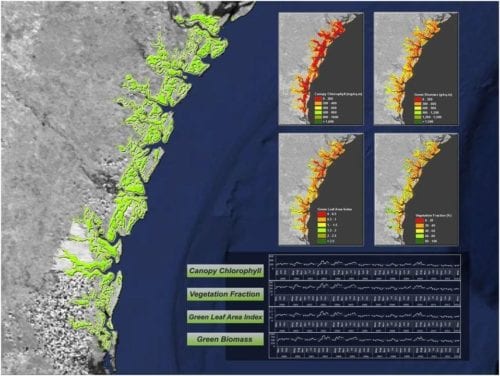 Time series analysis of salt marsh habitats across the Georgia Coast. Image Credit: Georgia Ecological Forecasting Team, NASA DEVELOP National Program.