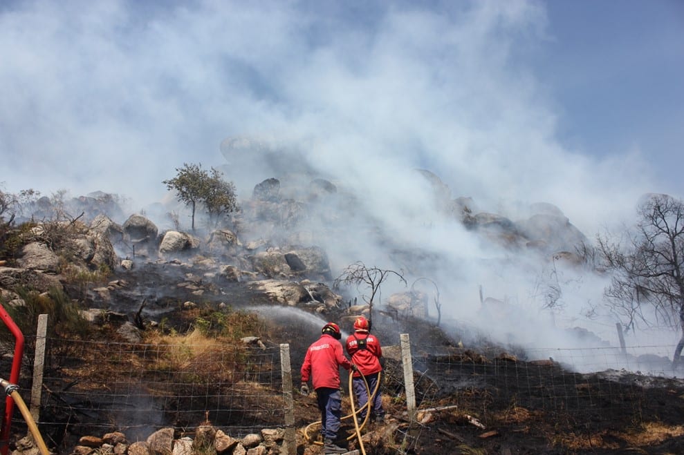 Figure 1: Firefighters in Portugal during the 2013 fire season. Image Credit: D. X. Viegas.