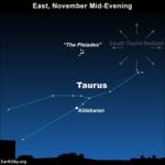 south taurid meteors