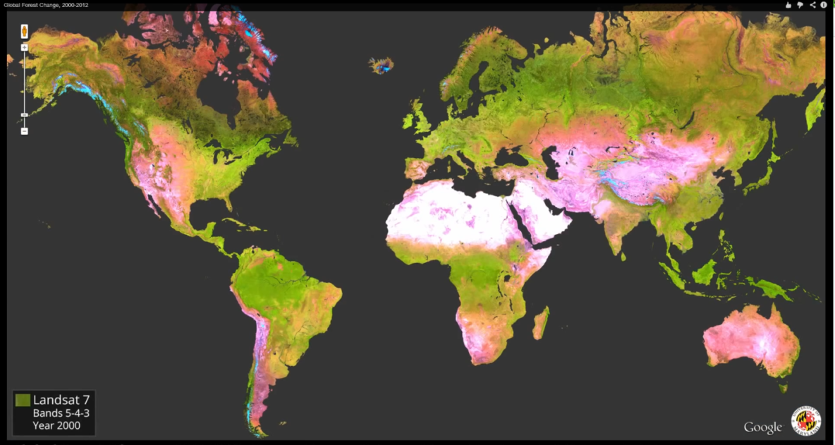 global forest map