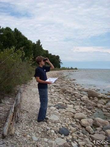 Volunteers Monitor Bird and Beach Health. Image Credit: Paula Sullivan, USGS.