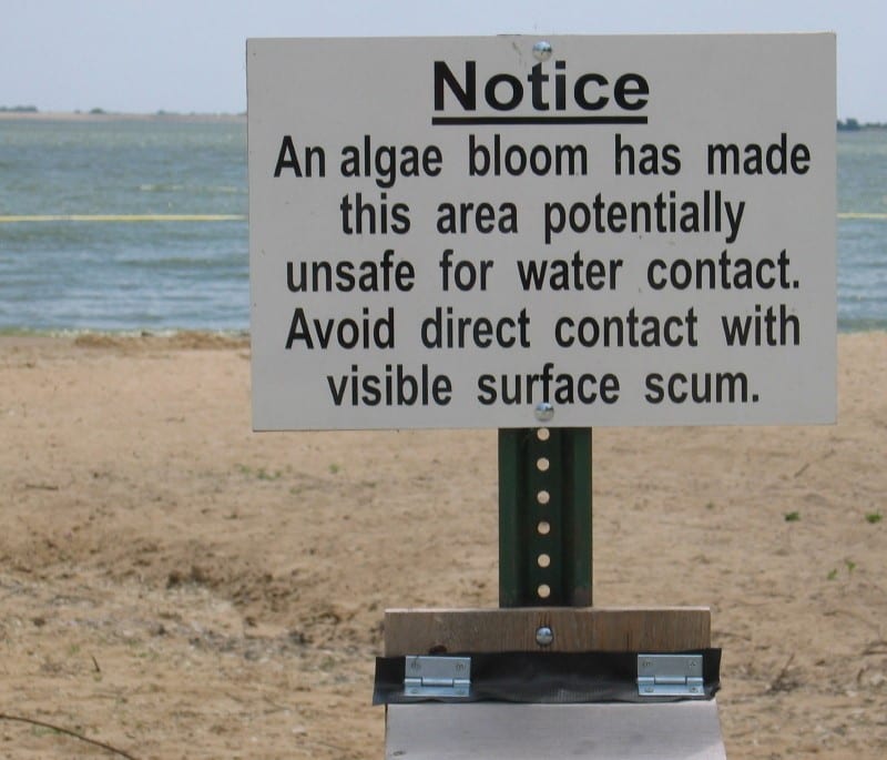 Figure 1.  Warning sign for cyanobacteria. Image Credit: J. Graham, USGS. 