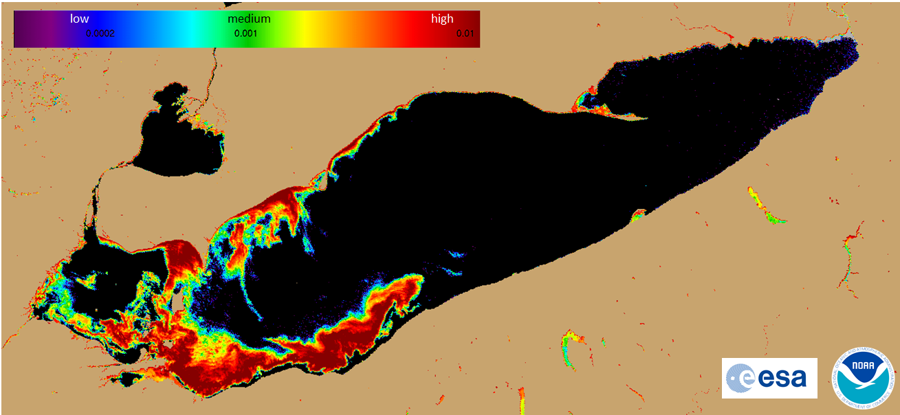 Figure 5.  Index of amount of cyanobacteria in Lake Erie from MERIS on Oct. 8, 2011, (the day before Figure 2).  Medium corresponds to the moderate risk of WHO (of about 100,000 cells L-1).  Image Credit: R. Stumpf , NOAA.  