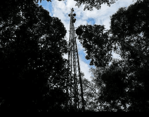 Amazon rainforest observation tower in Brazil