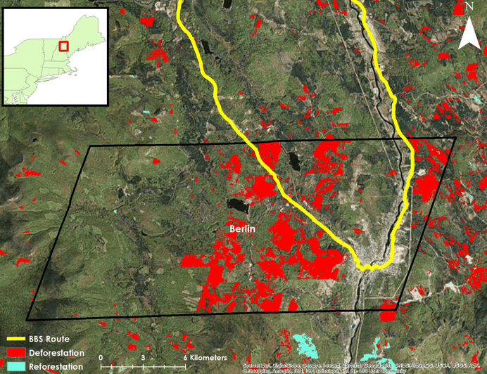 Sample analysis of deforestation (red) and reforestation (blue) between 2001 and 2011 around a Breeding Bird Survey route (yellow) near Berlin, New Hampshire. Image Credit: New England Ecological Forecasting Team.
