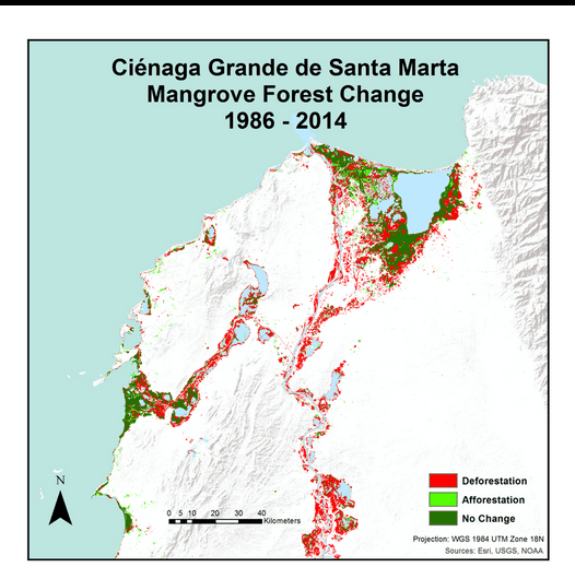 Mangrove forest cover change in the region surrounding the CiÌ©naga Grande de Santa Marta from 1986 through 2014. Image Credit: Coastal Colombia Ecological Forecasting Team.