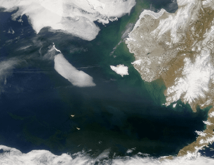 A satellite image of the region where Greenland halibut spawn in the Bering Sea off of the Alaskan coast. Image credit: NASA.