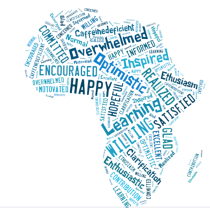 At the end of the AfriGEOSS side event, members were asked to submit a single word describing how they felt. The results are seen in this word cloud.