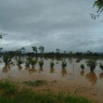 More predominant hydrometeorological events in Central America put at risk production systems including farming and ranching. Image Credit: MarÌ_a JosÌ© AvellÌÁn