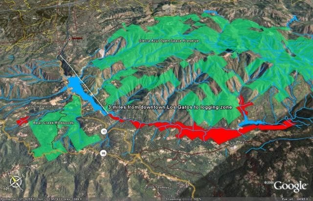 A screenshot of the proposed logging zone (in red); 1,000 acres of forest, including old growth redwoods, would have been logged in perpetuity. Image Credit: Google