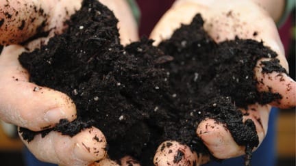 Rich soil held in hands