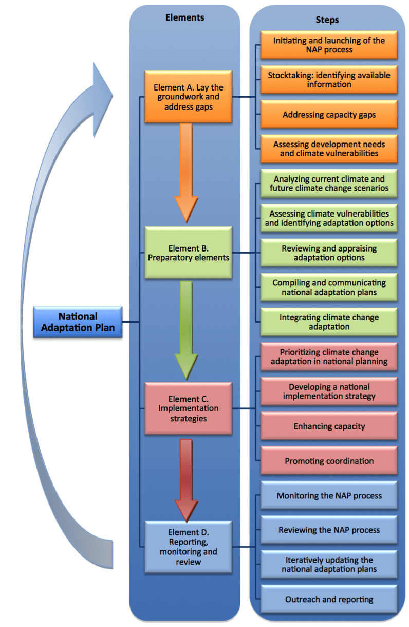 Figure 1. The UNFCCC NAP Process