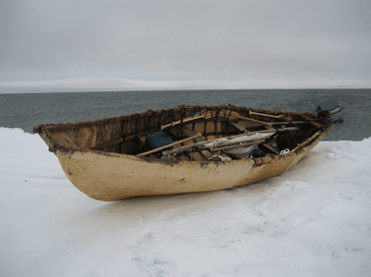 A skin boat covered with the split hides of female walruses is ready to be launched for a hunting trip in Little Diomede, Alaska. Image Credit: Gay Sheffield