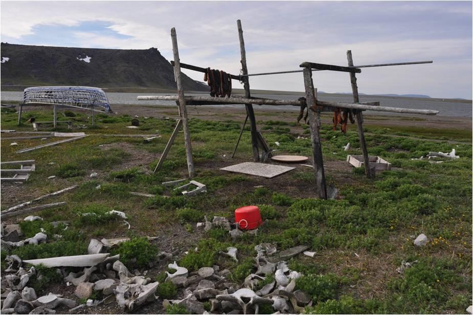 The same meat rack is nearly empty during the walrus harvest disaster in the spring of 2013. Image Credit: Martin Robards, Wildlife Conservation Society 