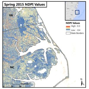 An image representing wetland health, derived from a spring 2015 Landsat 8 OLI image (path 14 row 35). Wetland health was calculated using a Normalized Difference Pigment Index (NDPI). Darker blue pixels represent healthy wetlands while dark red pixels are unhealthy. Image Credit: North Carolina Ecological Forecasting Team 