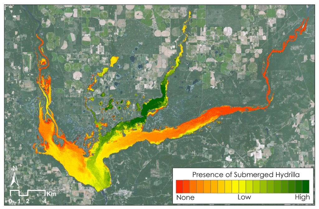 The mapped distribution of submerged hydrilla using VARI (Visible Atmospherically Resistant Index) in Lake Seminole along the Georgia-Florida border in November 2014. Image Credit: Southeast U.S. Ecological Forecasting Team 