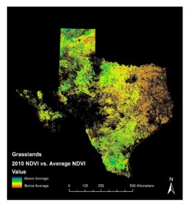 Annual NDVI for 2010 compared to 14-year average cumulative NDVI derived from MODIS data. Map indicates the deviation of grassland biomass from the normal. Image Credit: Texas Disasters Team 
