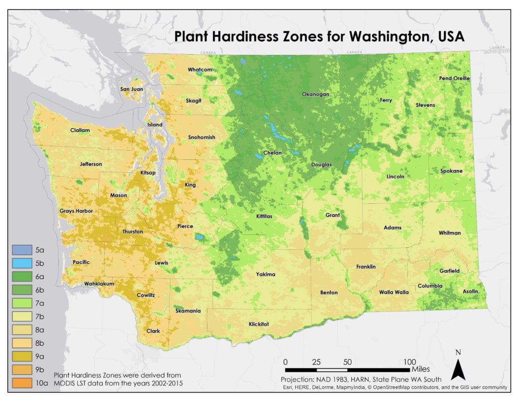 This Plant Hardiness Zone map of Washington state serves as a baseline for determining where apples thrive. This map was created using MODIS LST data from 2002-2015, and shows higher PHZs than the current USDA map, which relies on data from 1976-2005. This may indicate that Washington's climate is warming. Zones 5-7 are best for apple growth, shown primarily in the northern and eastern parts of the state. Image Credit: NW US Agriculture III Team  