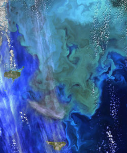 A satellite image of coastal waters. Image Credit: NASA