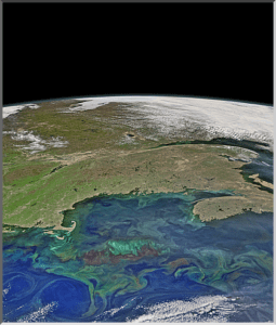 VIIRS image of the Gulf of Maine on May 14, 2015. Image Credit: NASA Earth Data