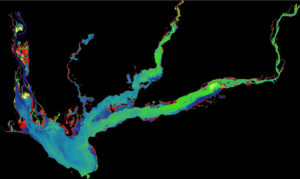 Floating (red) and submerged (green) Hydrilla distribution in Lake Seminole, September 2014. Image Credit: Southeast Ecological Forecasting II Team 