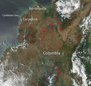 NASA MODIS Rapid Response Team mapped wildfires in South America. Image Credit: NASA/Goddard, Lynn Jenner