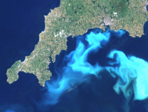 A 1999 algae bloom off the southwest coast of England. Image Credit: Wikipedia 