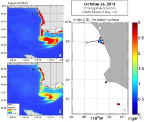 (a) Original MODIS chlorophyll-a scene. (b) MODIS scene after atmospherically corrected with values measured in the field. (c) Measured chlorophyll-a values that validate satellite-observed bloom. Image credit: Los Angeles Oceans II Team 