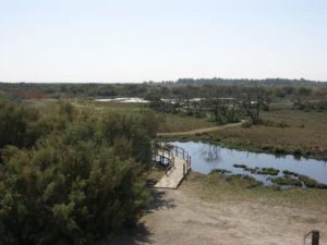 Small parts of Azraq are covered permanently by water in this photo from 2010. Image Credit: Kathrin Weise