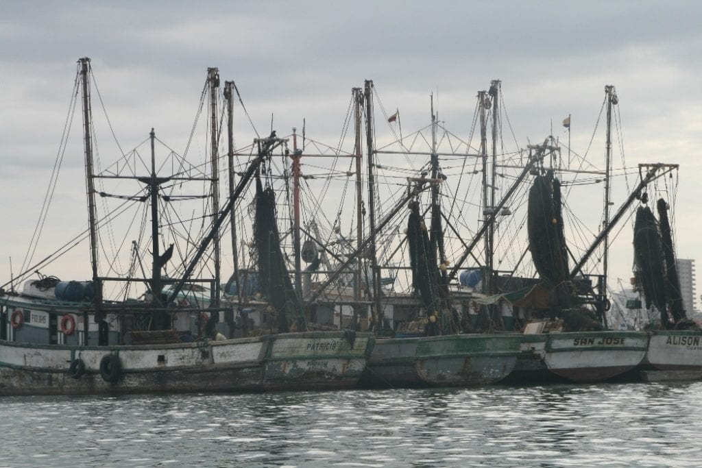 Purse seine vessels and gear in Ecuador. Image Credit: The Pew Charitable Trusts