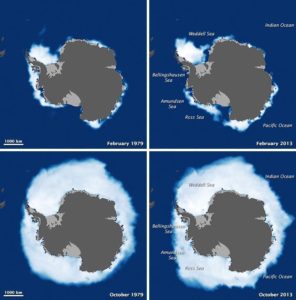Parkinson's models of Arctic (top) and Antarctic (bottom) sea ice extents in 1979 and 2013. Image Credit: NASA Earth Observatory.