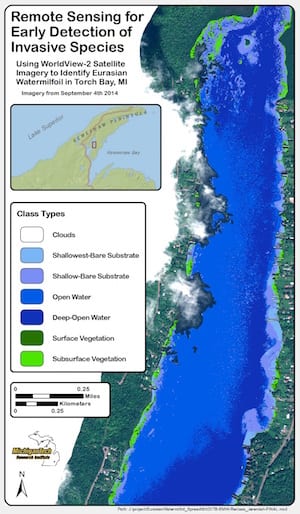 Using WorldView-2 imagery, the project team was able to differentiate aquatic vegetation at the surface versus submerged aquatic vegetation in Torch Bay in Michigan’s Keweenaw Peninsula, helping to screen areas for further analysis. Image Credit: Colin Brooks and Jeremiah Harrington