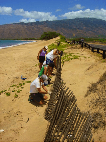 Repairing a turtle fence. Image Credit: Hawai'i Wildlife Fund