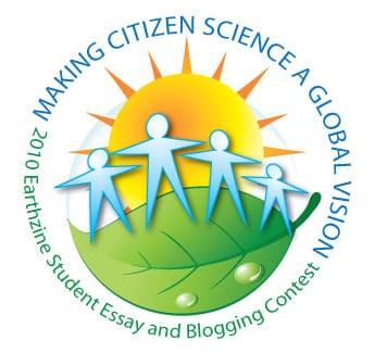 2010 Essay Contest logo