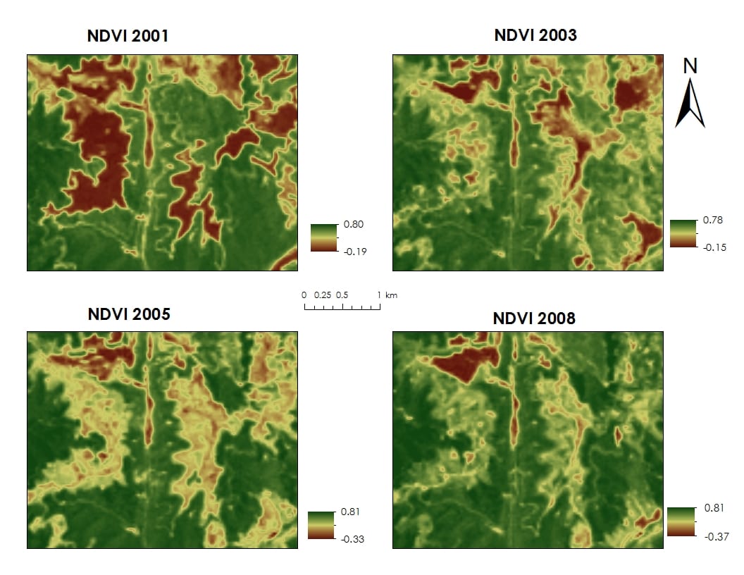 Ndvi